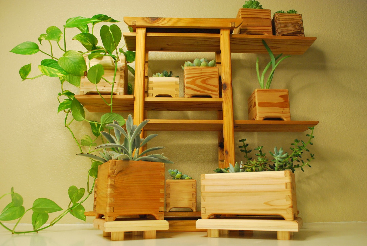 A collection of handmade cedar planter boxes organized on display stands and a multitiered adjustable shelf