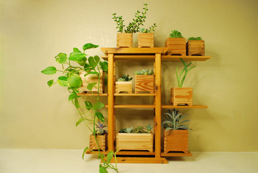 Fully assembled multi-level cedar plant shelf with wooden planters and plants – tiered design showcasing small handcrafted planters on natural wood shelving