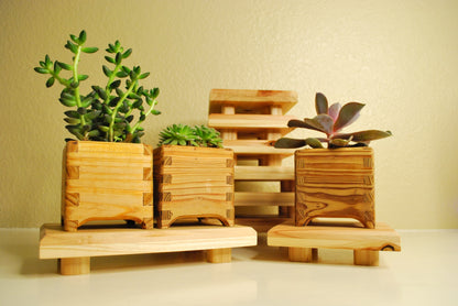 Handmade rectangular cedar display stand with minimalist design, featuring a smooth natural wood surface and short cylindrical legs, ideal for showcasing plants, candles, or decor.